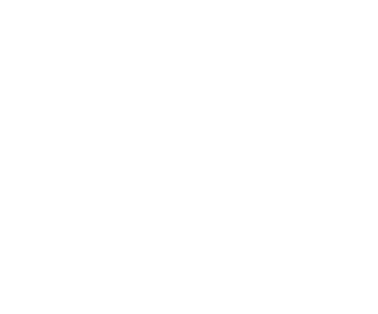 DPS_Logo_white